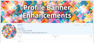 profile banner enhancements cover image.png